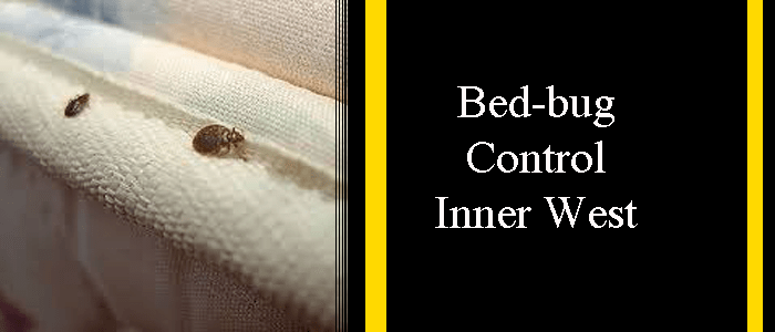 Bed Bug Control Inner West